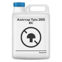 АМІСТАР ТРІО 255 ЕС