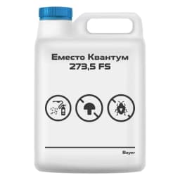 Еместо Квантум