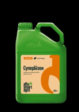 СуперБізон